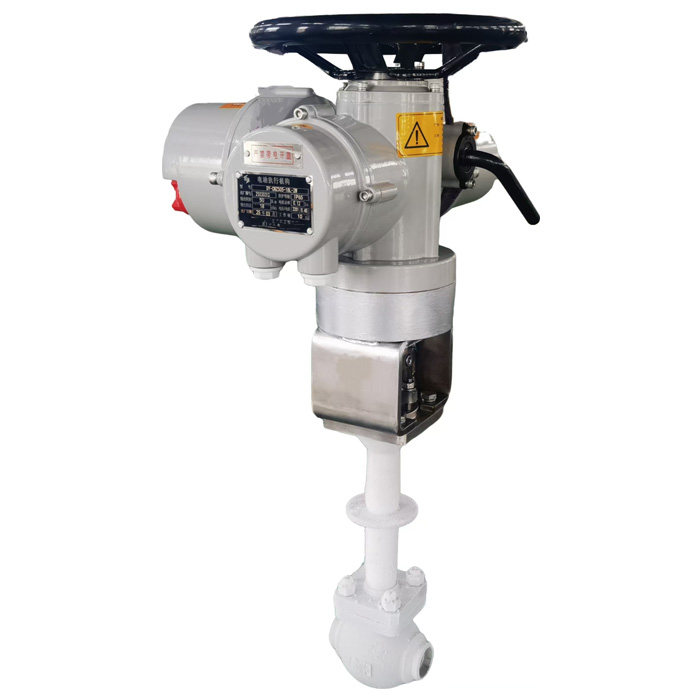 電動(dòng)低溫截止閥